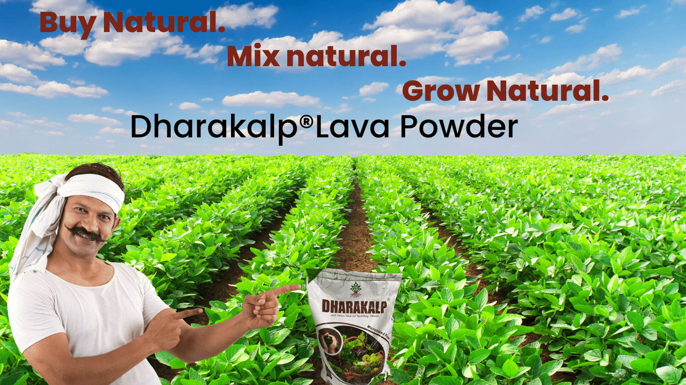 Dharakalp Lava Powder: The Natural Catalyst for Sustainable Agriculture A pile of Dharakalp Lava Powder on a farm