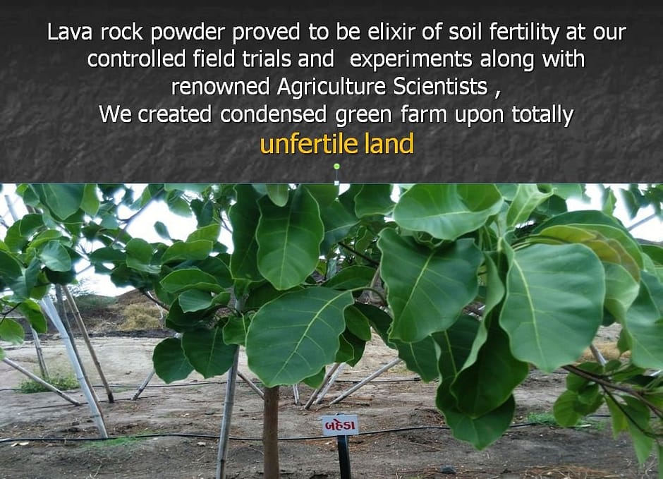 A8 Field trials at Rajkot New farm from baren land