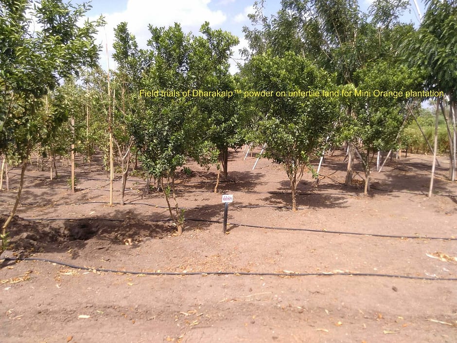 slide 13 mini orange copy Dharakalp Lava minerals field trials